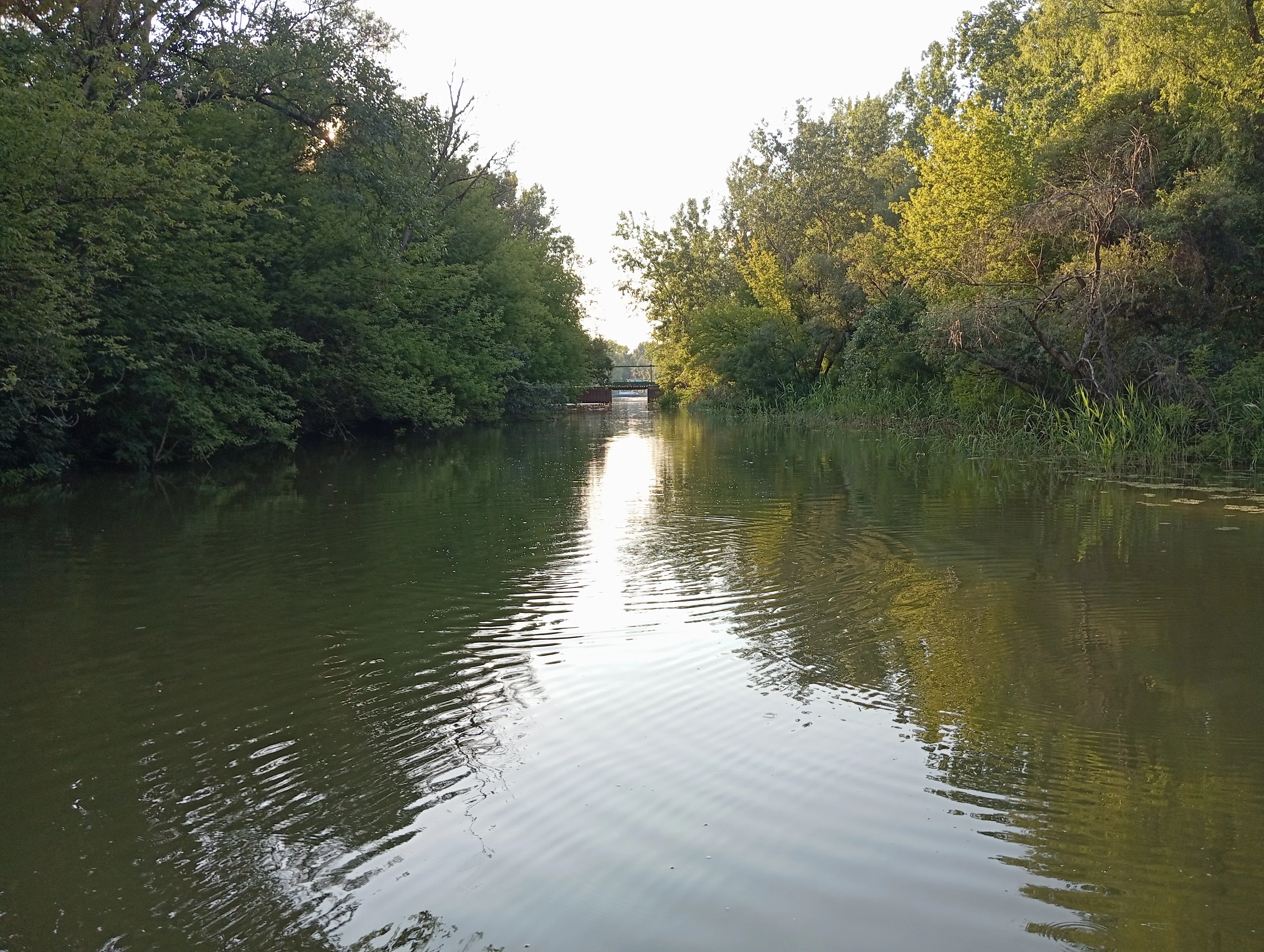 Tisza tó naplemente